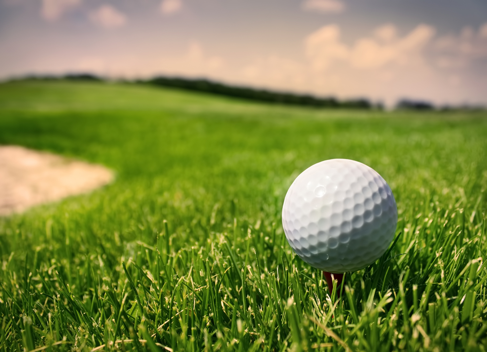 A closeup of a golfball on the tee, with the fairway blurred in the background.