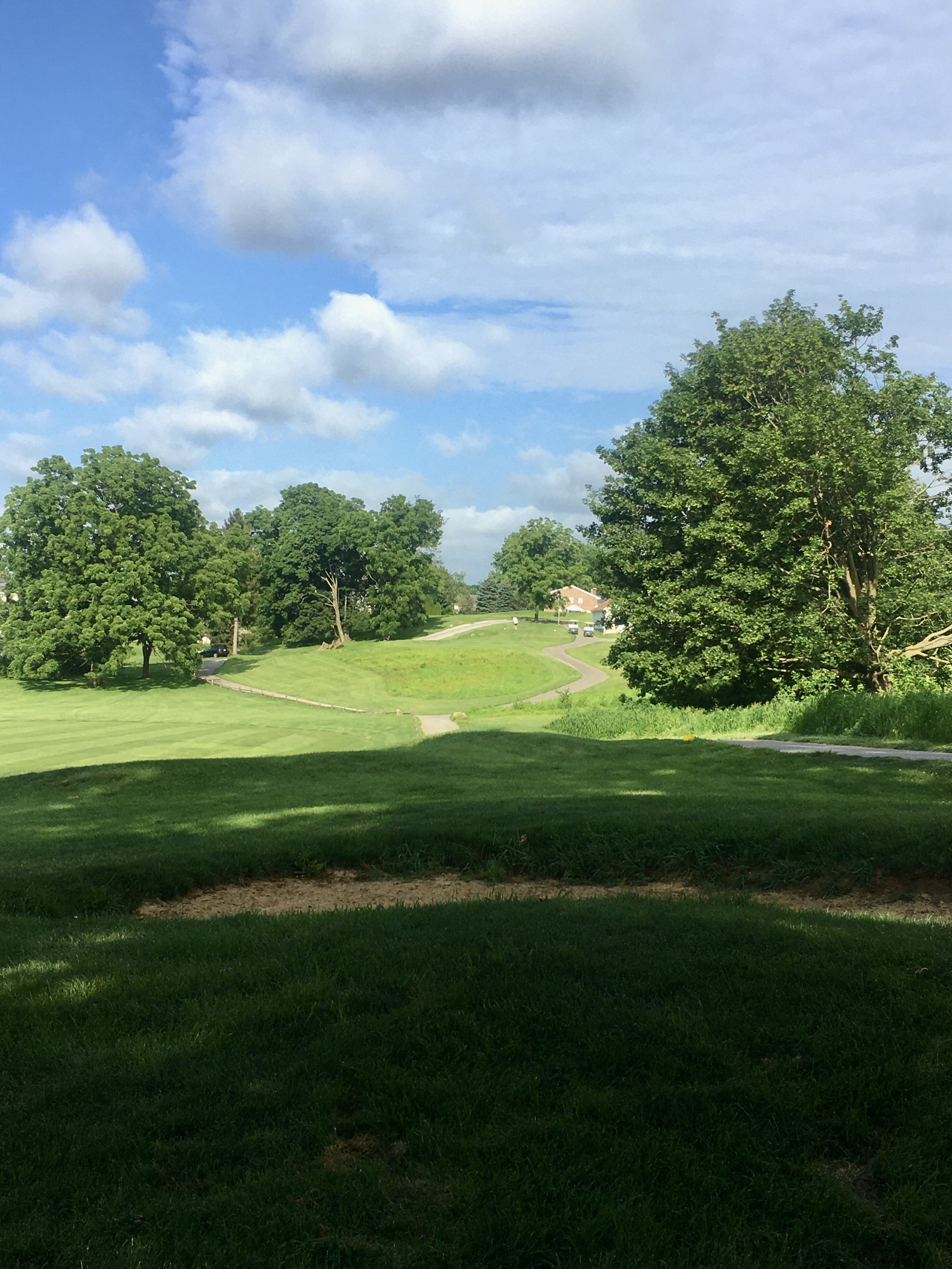 Shadowed in golf course green with trees