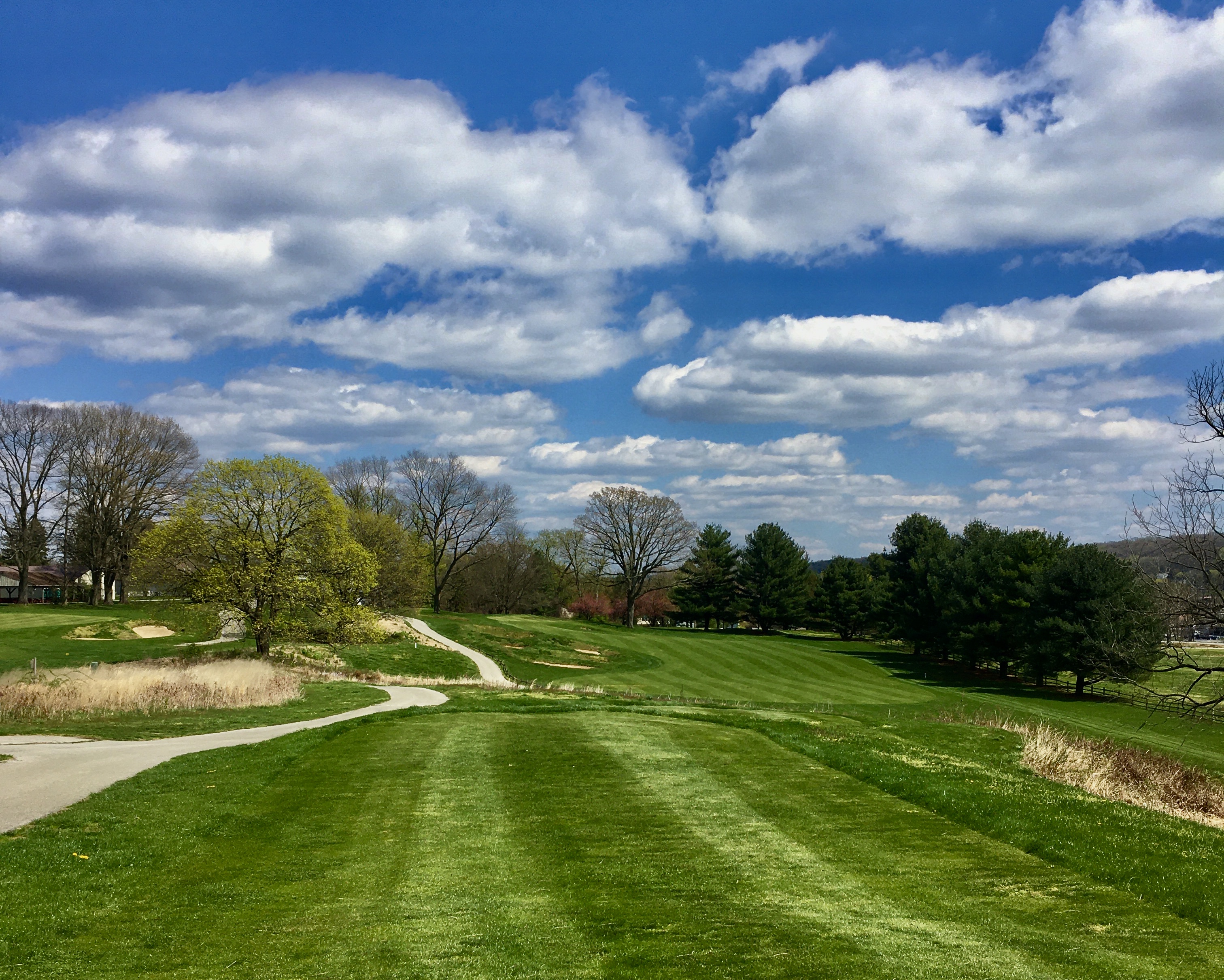 Image of golf ball on tee on grass.