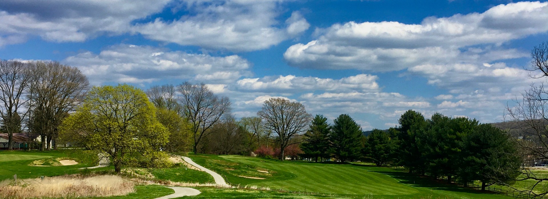 Manicured Golf Course Greens